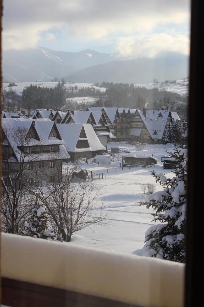 Willa Pod Zielonym Wierchem Zakopane Kültér fotó