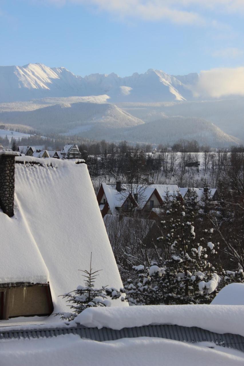 Willa Pod Zielonym Wierchem Zakopane Kültér fotó