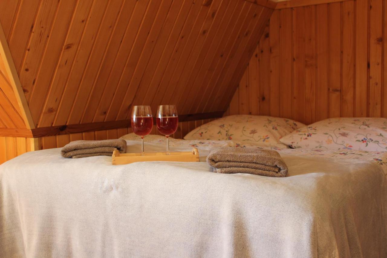 Willa Pod Zielonym Wierchem Zakopane Kültér fotó