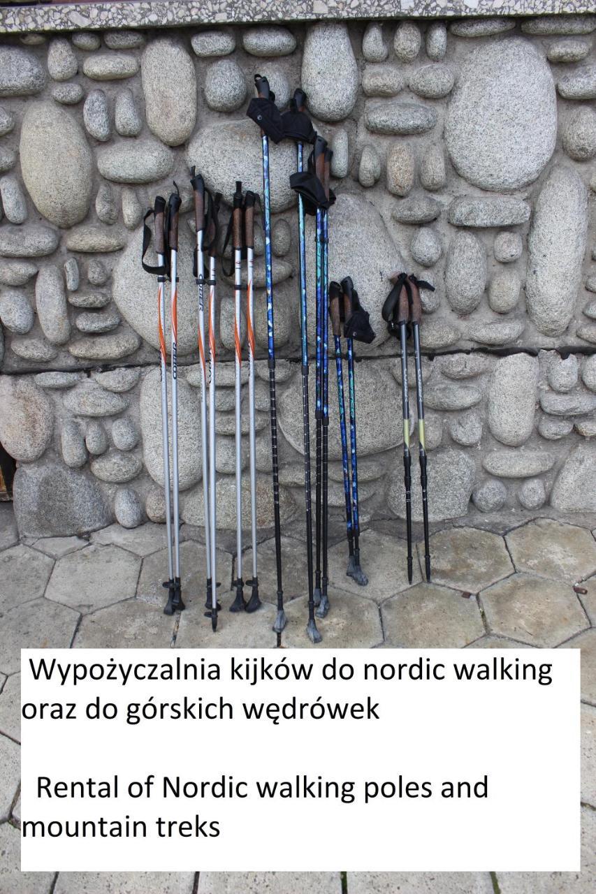 Willa Pod Zielonym Wierchem Zakopane Kültér fotó
