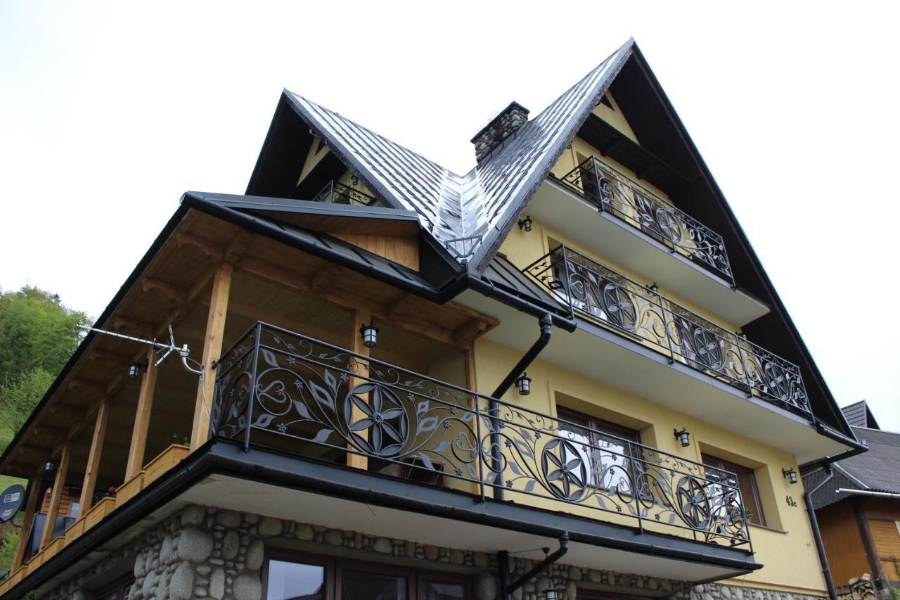 Willa Pod Zielonym Wierchem Zakopane Kültér fotó